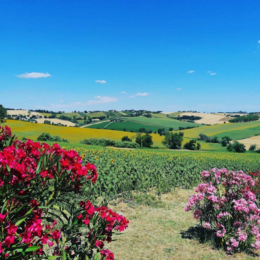 Il Giardino Nella Valle Belvedere Ostrense Exterior photo