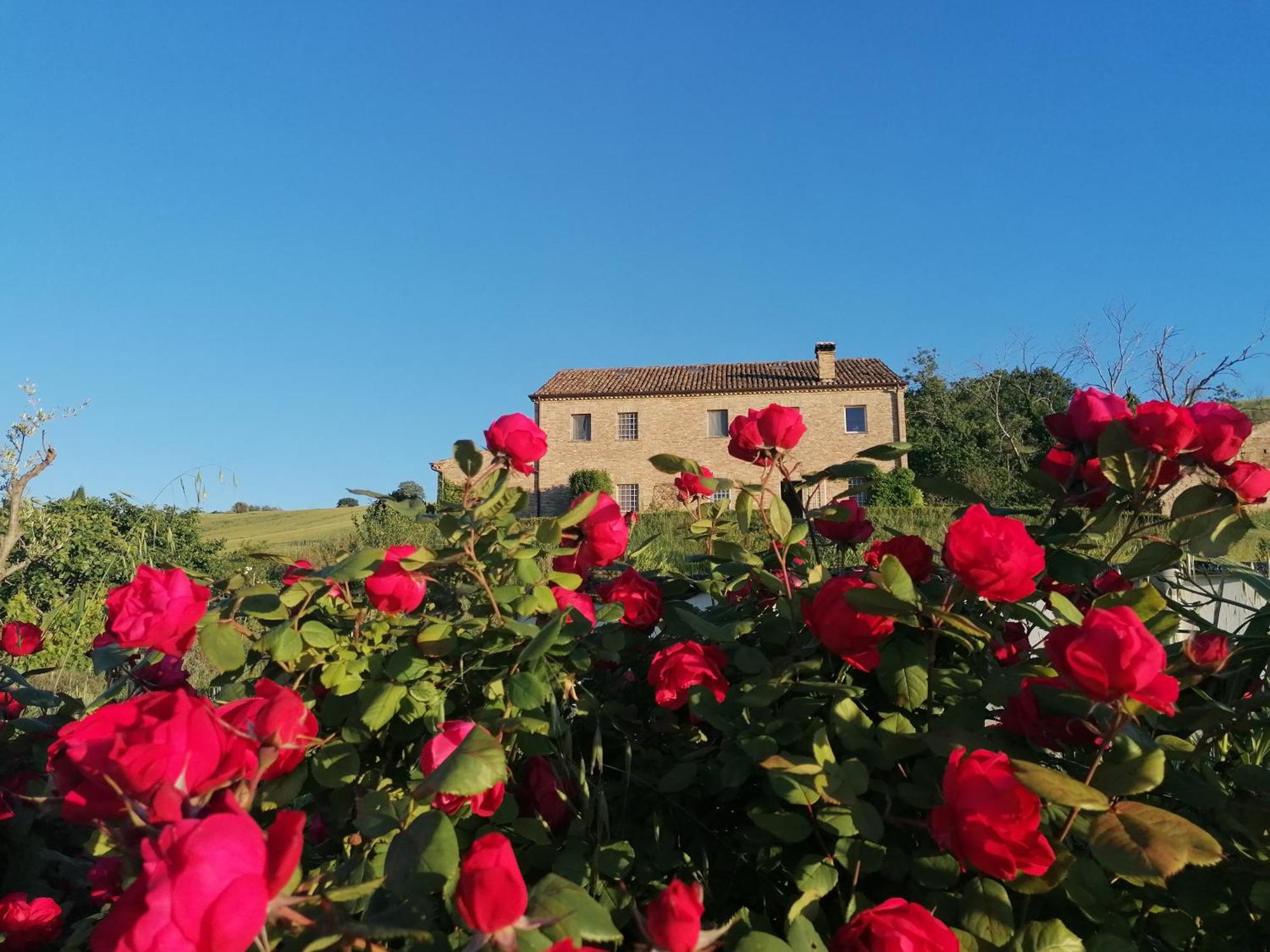 Il Giardino Nella Valle Belvedere Ostrense Exterior photo