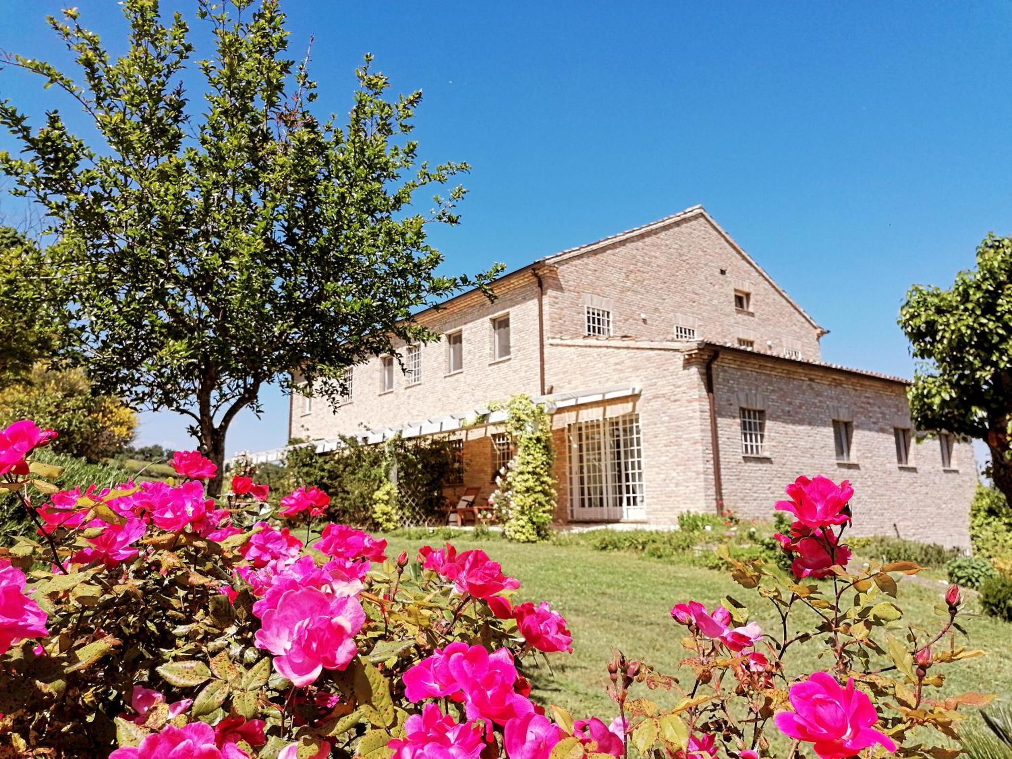 Il Giardino Nella Valle Belvedere Ostrense Exterior photo